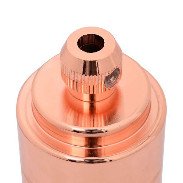 vidaXL Λαμπτήρες 2 τεμάχια Rose Gold E27