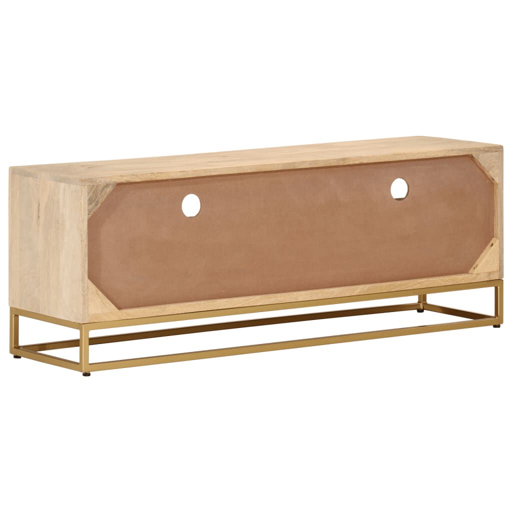 vidaXL Έπιπλο Τηλεόρασης 110 x 30 x 40 εκ. Μασίφ Ξύλο Μάνγκο & Σίδηρος