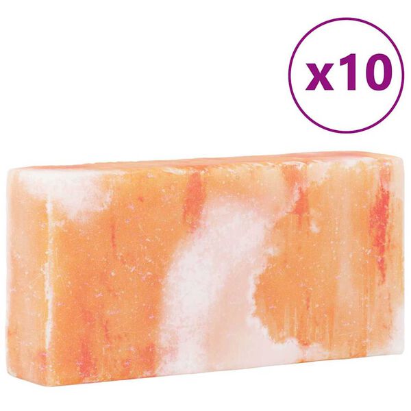 vidaXL Πέτρες Αλατιού 10 pcs Ροζ 20 x 5 x 10 εκ. Πέτρες