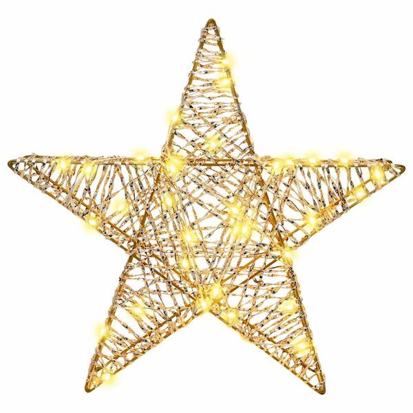 vidaXL 3D Αστέρι με 50 LED Θερμό λευκό 55 x 52.5 x 9 εκ PET