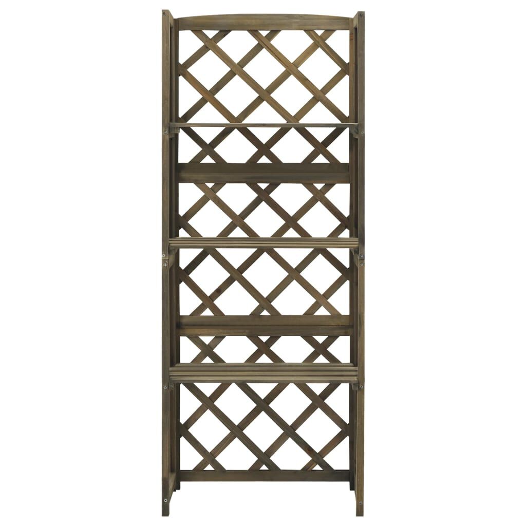 vidaXL Καφασωτό με Ράφια Γκρι 55 x 30 x 140 εκ. από Μασίφ Ξύλο Ελάτης