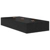 Black_oak