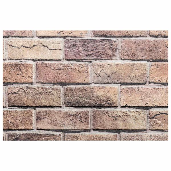 vidaXL &Pi;ά&nu;&epsilon;&lambda; &tau;&omicron;ί&chi;&omicron;&upsilon; 10 pcs &Kappa;&alpha;&phi;έ &kappa;&alpha;&iota; &Gamma;&kappa;&rho;ί&zeta;&omicron; 100 x 50 cm &Alpha;&phi;&rho;ό&sigmaf; EPS