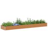 Thumbnail &Pi;&rho;&omicron;ϊό&nu;&tau;&omicron;&sigmaf; 3 &alpha;&pi;ό 13