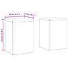 vidaXL Στήριξη φυτών 2 pcs Μαύρο 24 x 24 x 35 εκ. Ατσάλι