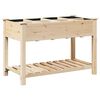 vidaXL &Gamma;&lambda;ά&sigma;&tau;&rho;&alpha; &Kappa;ή&pi;&omicron;&upsilon; &Mu;&pi;&epsilon;&zeta; 115 x 59 x 76,5 &epsilon;&kappa; &Sigma;&tau;&epsilon;&rho;&epsilon;ό &Xi;ύ&lambda;&omicron; &Pi;&epsilon;ύ&kappa;&omicron;&upsilon;