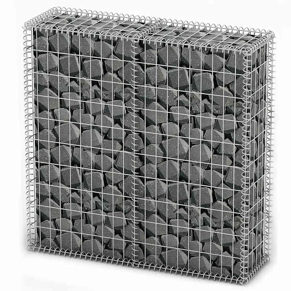 vidaXL Συρματοκιβώτιο 100 x 100 x 30 εκ. Γαλβανισμένο Σύρμα με Καπάκια