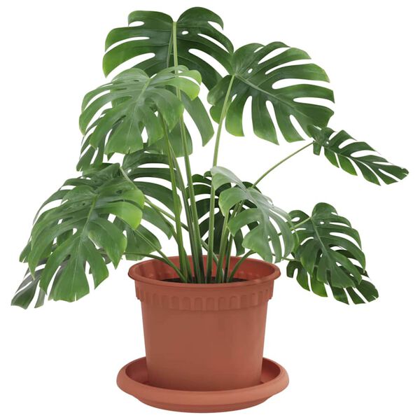 &Pi;&rho;&omicron;&beta;&omicron;&lambda;ή &Phi;&omega;&tau;&omicron;&gamma;&rho;&alpha;&phi;ί&alpha;&sigmaf; &Pi;&rho;&omicron;ϊό&nu;&tau;&omicron;&sigmaf; 3 &alpha;&pi;ό 12