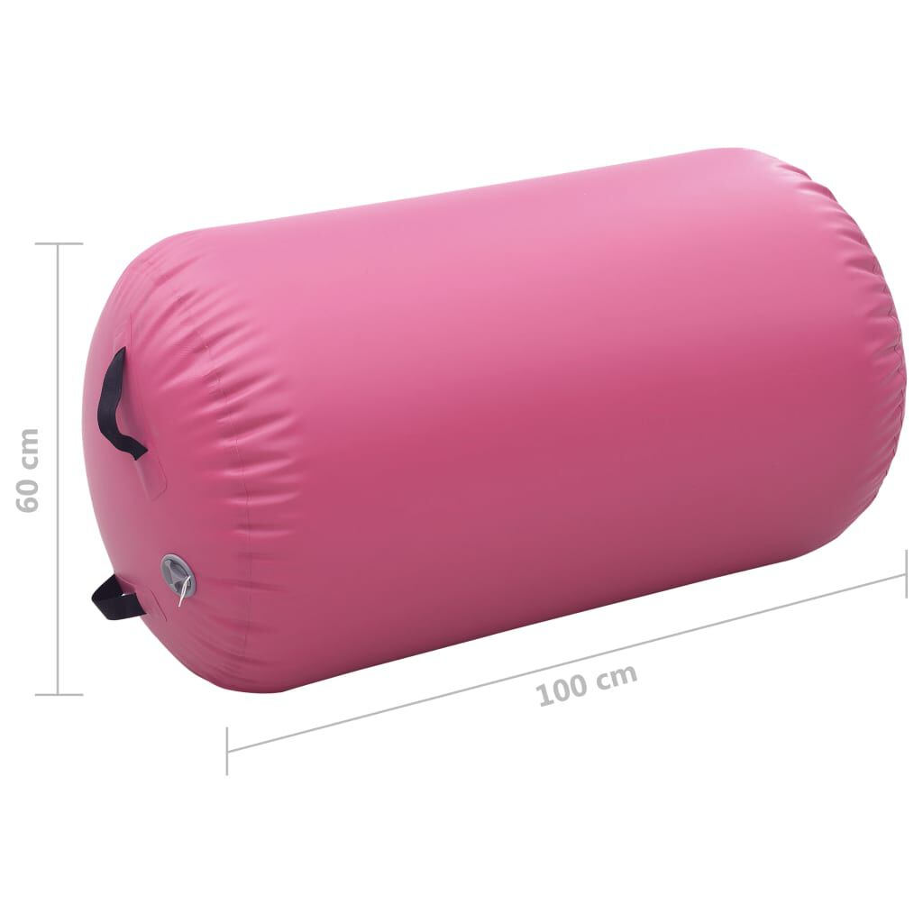 vidaXL Κύλινδρος Γυμναστικής Φουσκωτός Ροζ 100 x 60 εκ. PVC & Τρόμπα