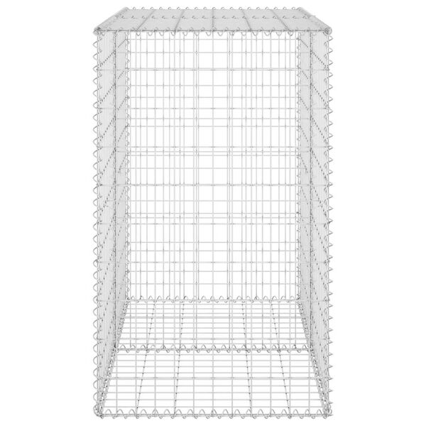 vidaXL Συρματοκιβώτιο Τοίχος 100x60x100 εκ. Γαλβαν.Χάλυβας + Καλύμματα