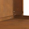 vidaXL Φωτιά Καφέ 80 x 50 x 96 εκ. Ατσάλι σκληρυθέν στον αέρα