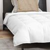 vidaXL Σετ Κουβέρτας με μαξιλάρι 2 pcs Λευκό 155 x 220 cm Πούπουλο