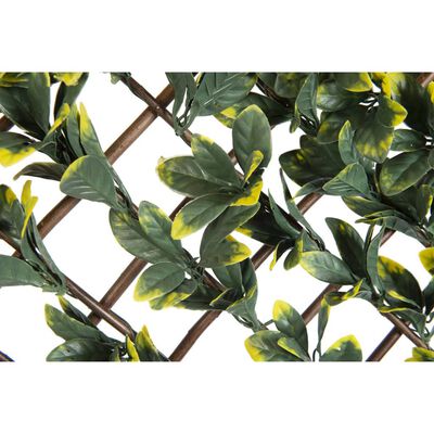 Nature Καφασωτό με Λιγούστρο Καλιφόρνια 90x180εκ Πράσινα/Κίτρινα Φύλλα