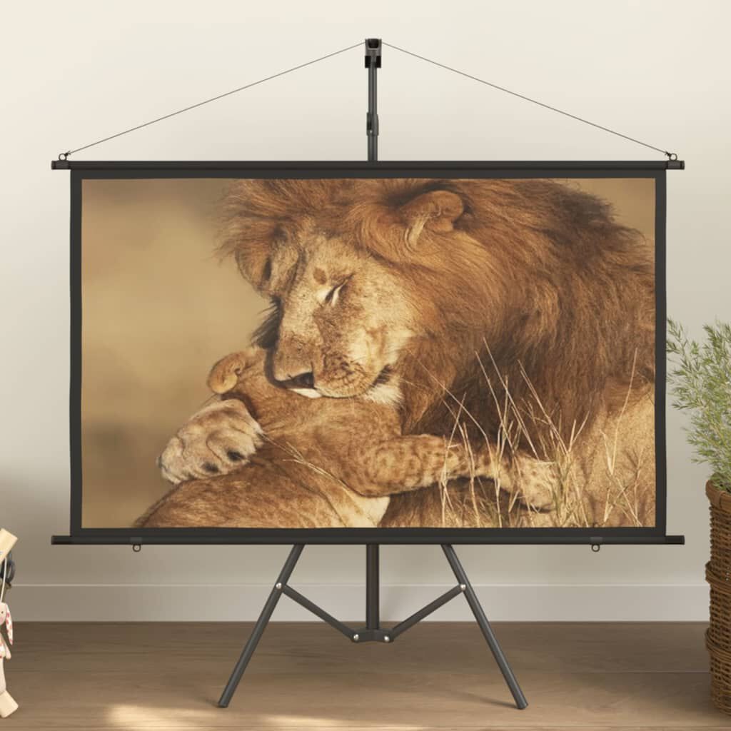 vidaXL Οθόνη Προβολής με Τρίποδο 60" 16:9