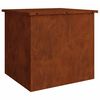 vidaXL &Kappa;&omicron;&upsilon;&tau;ί &alpha;&pi;&omicron;&theta;ή&kappa;&epsilon;&upsilon;&sigma;&eta;&sigmaf; &epsilon;&xi;&omega;&tau;&epsilon;&rho;&iota;&kappa;ώ&nu; &chi;ώ&rho;&omega;&nu; &Sigma;&kappa; rusty 55 x 50,5 x 50 &epsilon;&kappa;.