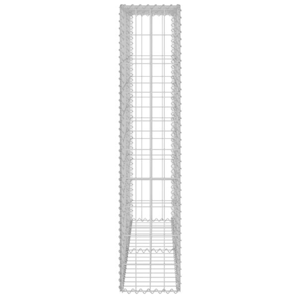 vidaXL Συρματοκιβώτιο Τοίχος 80x20x100 εκ. Γαλβαν.Χάλυβας + Καλύμματα