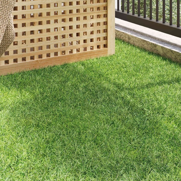 &Pi;&rho;&omicron;&beta;&omicron;&lambda;ή &Phi;&omega;&tau;&omicron;&gamma;&rho;&alpha;&phi;ί&alpha;&sigmaf; &Pi;&rho;&omicron;ϊό&nu;&tau;&omicron;&sigmaf; 3 &alpha;&pi;ό 10