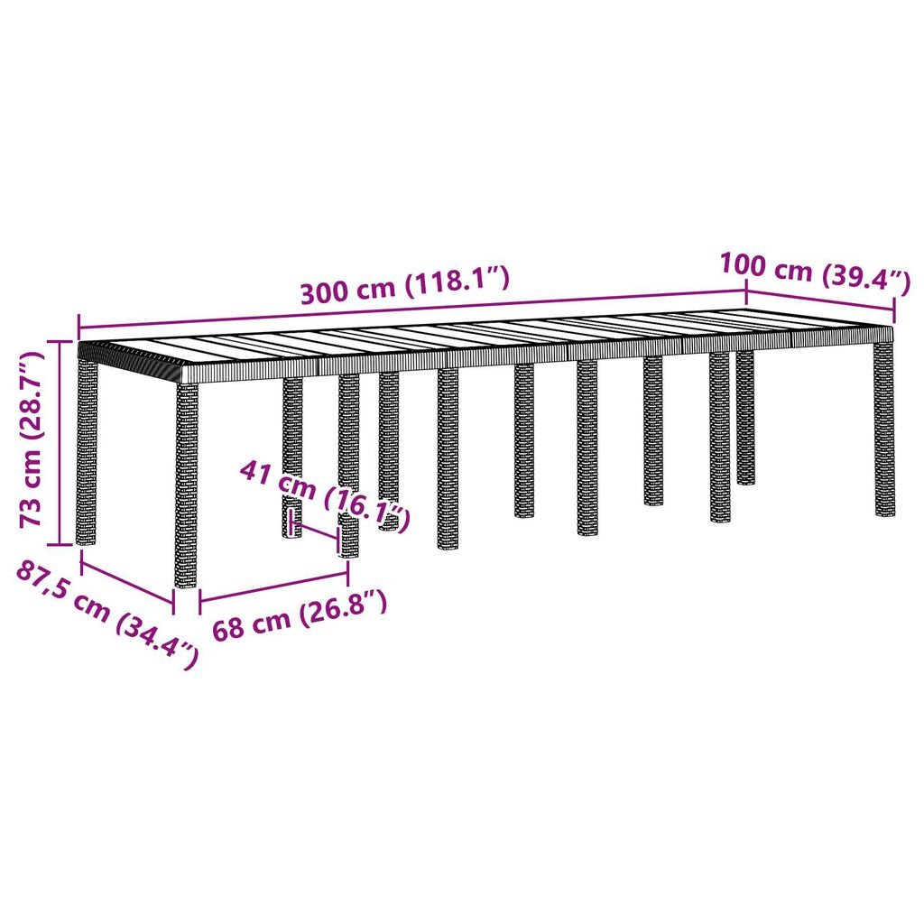 vidaXL Τραπέζι Κήπου Λευκό 300x100x73 cm Πολυ Ρατάν