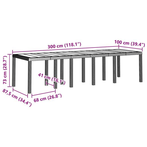 vidaXL Τραπέζι Κήπου Λευκό 300x100x73 cm Πολυ Ρατάν