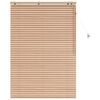 vidaXL &Beta;&epsilon;&nu;&epsilon;&tau;&sigma;&iota;ά&nu;&iota;&kappa;&eta; &Sigma;&kappa;ί&alpha;&sigma;&eta; Ό&psi;&eta; &Delta;&rho;ύ&sigmaf; 100 x 160 cm 35 mm
