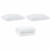 vidaXL Πάπλωμα Άλλο με μαξιλάρι 3 pcs Λευκό 200 x 220 cm Μικροΐνες