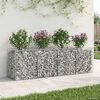 vidaXL &Alpha;&nu;&alpha;&sigma;&eta;&kappa;&omega;&mu;έ&nu;&omicron; &kappa;&rho;&epsilon;&beta;ά&tau;&iota; gabion &Alpha;&sigma;&eta;&mu;ί 200 x 50 x 60 cm