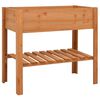 vidaXL &Gamma;&lambda;ά&sigma;&tau;&rho;&alpha; 88 x 43 x 80 &epsilon;&kappa;. &alpha;&pi;ό &Xi;ύ&lambda;&omicron; &Epsilon;&lambda;ά&tau;&eta;&sigmaf;