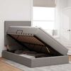 vidaXL Κρεβάτι Αποθήκης με στρώμα Taupe 120 x 190 cm Τεχνητό Δέρμα