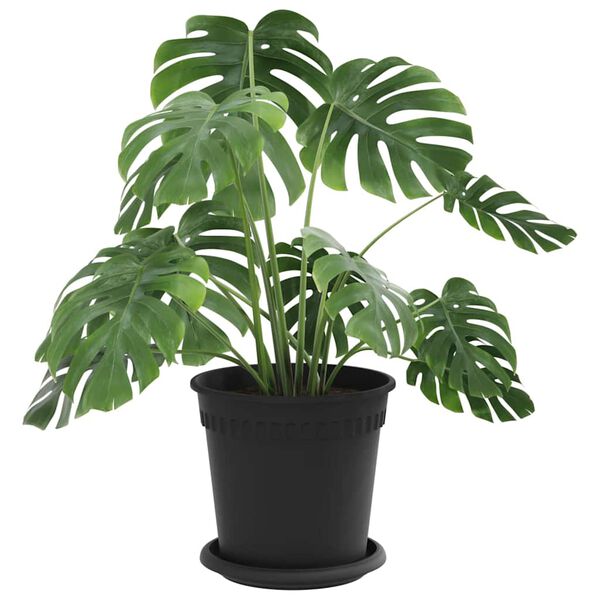 vidaXL &Gamma;&lambda;ά&sigma;&tau;&rho;&epsilon;&sigmaf; &phi;&upsilon;&tau;ώ&nu; 24 pcs &Mu;&alpha;ύ&rho;&omicron; &Oslash; 17 x 14 &epsilon;&kappa; &Pi;&lambda;&alpha;&sigma;&tau;&iota;&kappa;ό