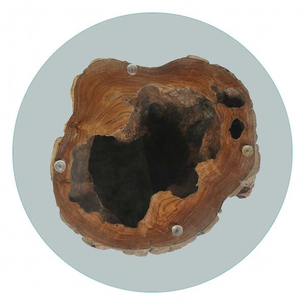 vidaXL Τραπεζάκι Σαλονιού 50 x 40 εκ. από Ξύλο Teak / Γυαλί