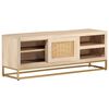 vidaXL Έπιπλο Τηλεόρασης 110 x 30 x 40 εκ. Μασίφ Ξύλο Μάνγκο & Σίδηρος