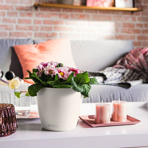 LECHUZA &Gamma;&lambda;ά&sigma;&tau;&rho;&alpha; CLASSICO Color 21 ALL-IN-ONE &Lambda;&epsilon;&upsilon;&kappa;ή