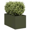 Olive_green