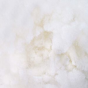 vidaXL &Gamma;έ&mu;&iota;&sigma;&eta; Ί&nu;&alpha;&sigmaf; &Lambda;&epsilon;&upsilon;&kappa;ό&sigmaf; 2,5 kg &Pi;&omicron;&lambda;&upsilon;&epsilon;&sigma;&tau;έ&rho;&alpha;&sigmaf;