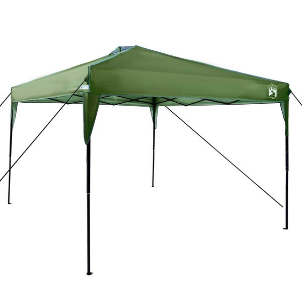 vidaXL Σκηνή Σκίασης Πράσινο 300 x 300 x 227 / 236 / 245 εκ Ύφασμα Oxford