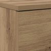 vidaXL Παπουτσοθήκη με συρτάρι artisan δρυς 100.5 x 28 x 100 εκ