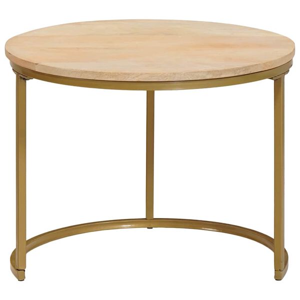 vidaXL Τραπεζάκια Καφέ Στερεών 2 pcs Μασίφ ξύλο μάνγκο και χάλυβας