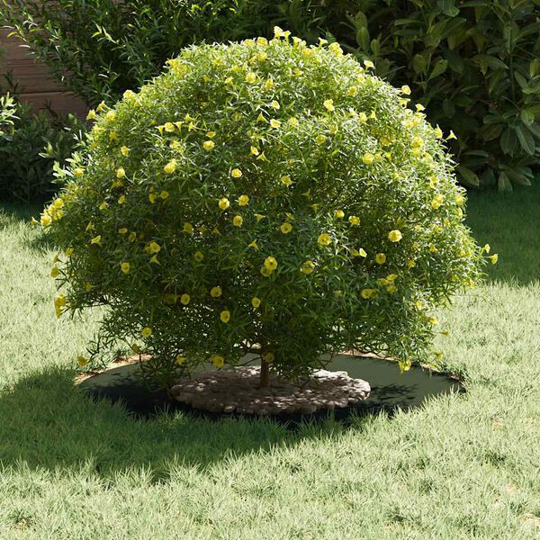 vidaXL Επίπεδος δακτύλios δέντρου Λαδί Ø30 / 60 εκ. Ατσάλι