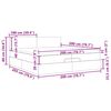 vidaXL Οθωμανικό κρεβάτι με στρώματα & LEDs Σκούρο γκρι Βελούδο