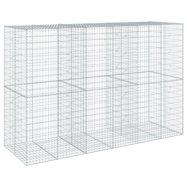 vidaXL Συρματοκιβώτιο με Κάλυμμα 300x100x200εκ από Γαλβανισμένο Χάλυβα