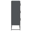 vidaXL Highboard Ανθρακί 68x39x123 cm Χάλυβας