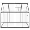 vidaXL Θερμοκήπιο με Πλαίσιο Βάσης Ανθρακί 224x169x195 εκ. Αλουμίνιο