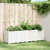vidaXL Ζαρντινιέρα Κήπου Λευκή 160x40x53 εκ. Πολυπροπυλένιο