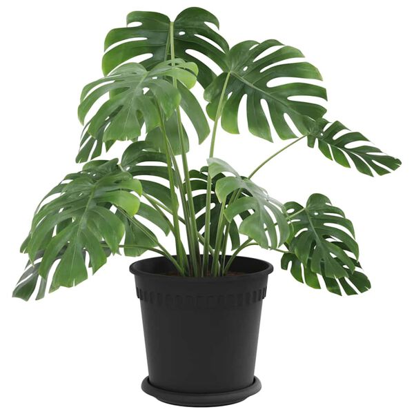 vidaXL &Gamma;&lambda;ά&sigma;&tau;&rho;&epsilon;&sigmaf; &phi;&upsilon;&tau;ώ&nu; 6 pcs &Mu;&alpha;ύ&rho;&omicron; &Oslash; 19 x 16 &epsilon;&kappa; &Pi;&lambda;&alpha;&sigma;&tau;&iota;&kappa;ό