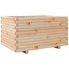 vidaXL &Zeta;&alpha;&rho;&nu;&tau;&iota;&nu;&iota;έ&rho;&alpha; &Kappa;ή&pi;&omicron;&upsilon; 90x60x49,5 &epsilon;&kappa; &alpha;&pi;ό &Mu;&alpha;&sigma;ί&phi; &Xi;ύ&lambda;&omicron; &Pi;&epsilon;ύ&kappa;&omicron;&upsilon;