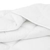 vidaXL Χειμερινό Παπλωματοθήκη 3 pcs Λευκό 240 x 200 cm Μικροΐνες