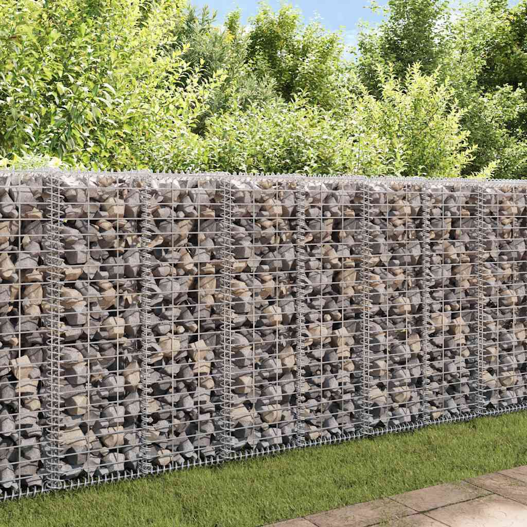 vidaXL Συρματοκιβώτιο 100 x 30 x 30 εκ. Γαλβανισμένο Σύρμα με Καπάκια