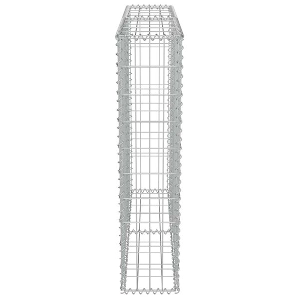 vidaXL Συρματοκιβώτιο Τοίχος 100x20x100 εκ. Γαλβαν.Χάλυβας + Καλύμματα