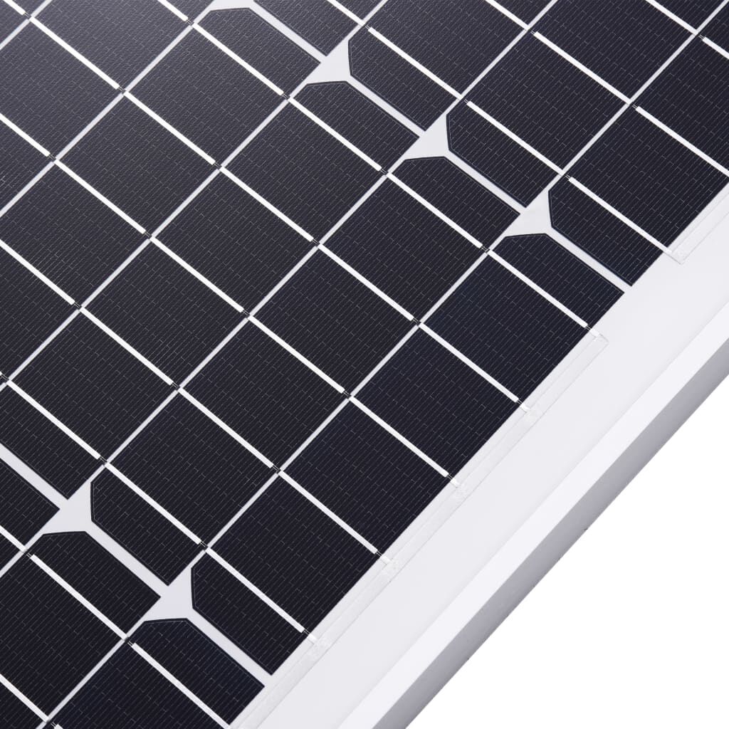 vidaXL Ηλιακά Πάνελ Μονοκρυσταλ. 2 τεμ. 100W Αλουμίνιο/Γυαλί Ασφαλείας