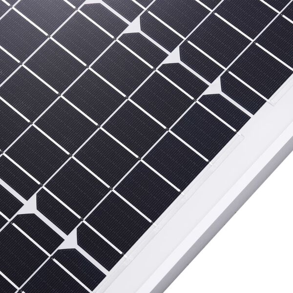 vidaXL Ηλιακά Πάνελ Μονοκρυσταλ. 2 τεμ. 100W Αλουμίνιο/Γυαλί Ασφαλείας